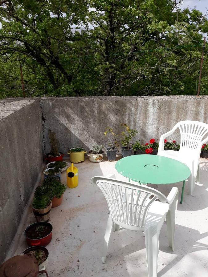 Apartman Milica Golubic  Zewnętrze zdjęcie