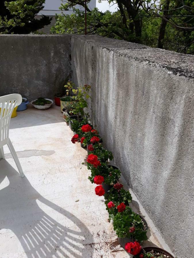 Apartman Milica Golubic  Zewnętrze zdjęcie